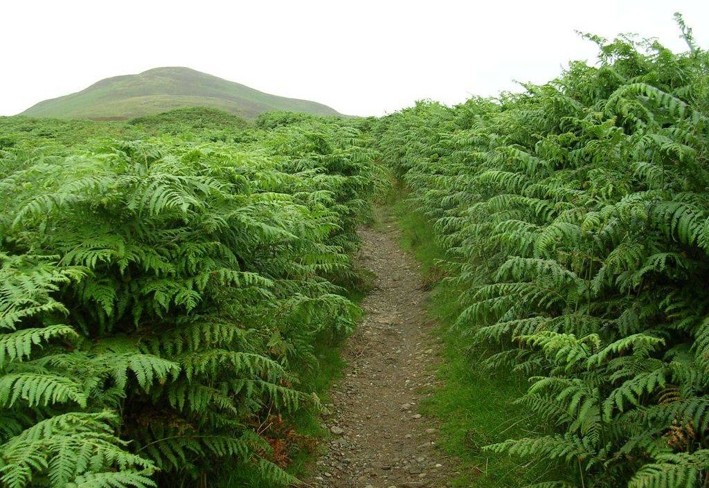 West Highland Way